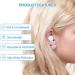 Concert Ear Plugs for Noise Reduction - 40dB Sleeping & Travel Earplugs - 10 Pairs C-blue - Buy Online on GoSupps.com