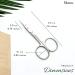 Stelone Premium Small Curved Cuticle Scissors - Stainless Steel Manicure Tool for Women - Buy Online on GoSupps.com
