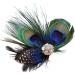 Feather Peacock Hair Clip Natural Feather Fascinator Barrette with Sparking Rhinestone Peacock Feather Hairpin Hair Accessories - Buy Online on GoSupps.com
