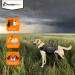 Thundershirt for Dogs X-Large Grey Grey XL - Buy Online on GoSupps.com