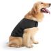 Wingfly Dog Calming Vest | Anxiety Relief Shirt for Dogs | Stress-Free Pet Jacket (M Gray) - Buy Online on GoSupps.com