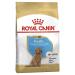Royal Canin Dry Puppy Food - Poodle 3 kg