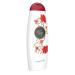 Maja Body Lotion for Dry Skin - 13.5 Oz - Buy Online on GoSupps.com