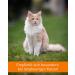 Vetoquinol Bezo-Pet Paste 120g | Hairball Support Supplement for Dogs & Cats | Malt & Fish Oil Formula - Buy Online on GoSupps.com