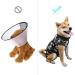 Doton Hospital Suit for Dogs & Cats - Wound Protection Medical Clothing | Post-Operation Recovery & Replacement Collar (L Camouflage) - Buy Online on GoSupps.com