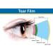 Dr. Whitaker Eyedrate - 60 Softgels for Eye Health & Vision Support - Buy Online on GoSupps.com