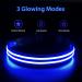 Luminous Adjustable Dog Collar - Waterproof LED Light for Small & Medium Dogs | Blue (38-50cm) - Enhanced Night Visibility - Buy Online on GoSupps.com
