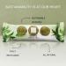 nouri Matcha Green Tea balls Vegan Gluten Free No Added Sugar (display box of 21 packs of 3 balls) 630 gms - Buy Online on GoSupps.com
