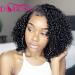 Dorosy Hair 360 Lace Frontal Wigs Wet Wavy 180% Density for Women Natural Black Brazilian Remy Hair Curly Glueless Top Lace Wigs Pre Plucked with Baby Hair 16 inch with 180% density 16 Inch 180% Density 360 Lace Frontal Wig