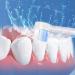 Waterpik Aquarius Replacement Tips - 4 Brush Head Tips for Water Flosser & Toothbrush - Buy Online on GoSupps.com