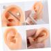 Human Ear Model Earrings Display Set - 4pcs Pierced Ear Piercing Jewelry Simulator for Studs - Assorted Colors - 5.66x4.88x5cm - Buy Online on GoSupps.com