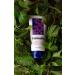 Veniselle Vein Cream for Legs - 50ml | Horse Chestnut Chamomile & Nettle - Buy Pack of 5 Online - Buy Online on GoSupps.com