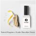 Haniel Cologne for Men Mens Cologne Mens Fragrances Sandazee Perfume for men Fromo Para Atraer Mujer  - Buy Online on GoSupps.com