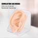 Acupuncture Ear Model - Soft Silicone Fake Ear for Earring Display & Jewelry Training | Ideal for Acupuncture Apprenticeship - Buy Online on GoSupps.com