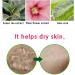 SELY Korean Cosmetics Aloe Vera Gel - Soothing Moisture 10.56 fl oz - Pack of 1 - Buy Online on GoSupps.com