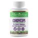 Paradise Herbs Cordyceps CS-4 Extract Vegan Antioxidant Non GMO Gluten Free 60 Vegetarian Capsules