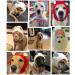 YAMEE Dog Winter Hats for Large Dogs Small Dog Hat Dog Ear Muffs Noise Protection Dog Knitted Hat Holiday Outdoor Walking Essential Clothing Matching (Small Pink) Small Pink - Buy Online on GoSupps.com