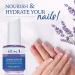 IBD Lavender Cuticle Oil 0.5 oz - Nourish and Hydrate Your Cuticles - Buy Online on GoSupps.com