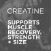 Creapure Creatine Monohydrate - Micronized 5g for Enhanced Performance Strength & Recovery - Rainbow Candy Flavor (50 Servings - Buy Online on GoSupps.com