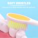 Buy Plandlelee Foldable Travel Toothbrushes - Set of 2 Portable Soft Bristles for Camping & Travel - Buy Online on GoSupps.com
