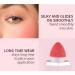 Liquid Blush Makeup Soft Cream Blush Stick for Cheeks Long-Wearing Silky Formula Lightweight Natural-Looking Dewy Finish Face Blush 2 packs (02 & 03) 2 & 3 - Buy Online on GoSupps.com