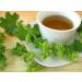 Lady's Mantle Herb Tea/Mesdames Manto Herbe (Alchemilla Vulgaris) - Health Embassy - 100% Natural (100g) - Buy Online on GoSupps.com