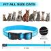 Paipaitek Cat Shock Collar - Sound, Vibrate, Shock Modes for Cats & Kittens - Waterproof & Rechargeable Blue - Buy Online on GoSupps.com