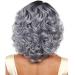 Buy Welly Women's Short Silver Gray Bob Wig - 18 Synthetic Cosplay & Daily Use Wavy Hair with Cap - Buy Online on GoSupps.com