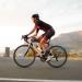 Waterproof Bike Phone Front Frame Bag for 6.5 iPhone - Cycling Phone Mount Pack - Buy Online on GoSupps.com