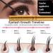 Physician Developed Eyelash and Eyebrow Growth Serum - Advanced Biotin for Fuller, Longer, Thicker & Healthier Lashes and Brows - Lash Extensions Safe - Oil-Free & Cruelty-Free - 5ML, 6 Months Supply - Buy Online on GoSupps.com