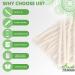 Natural Miswak Stick Teeth Whitening Kit - Pack of 8 Herbal Toothbrush Sticks for Healthy Gums & Fresh Breath - Vacuum Sealed with Holder - Muslim Flavored || 8 Count - Buy Online on GoSupps.com