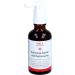 Echinacea Mouth and Throat Spray 50ml | Immune Support & Soothing Relief | Fast Shipping Worldwide - Buy Online on GoSupps.com