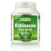 Greenfood Echinacea 500 mg, 180 Tablets - No Artificial Additives, Non-GMO, Lactose Free, Gluten Free, Vegan.