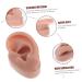 Angoily Human Ear Acupuncture Model - 1pc Silicone Display Ear Simulator for Massage & Learning | 6.5x3.5cm - Buy Online on GoSupps.com