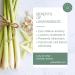 Lemon Grass Herbal Tea - Buy Online on GoSupps.com
