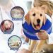 2-in-1 Inflatable Dog Collar for Recovery | Small Dog Recovery Collars - Protect Wounds & Operated Pets - Buy Online on GoSupps.com