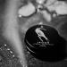 Triumph & Disaster Jaggr Lip Balm 30ml - SPF 15 | Buy Internationally | Nourishing Protection for Your Lips - Buy Online on GoSupps.com