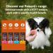 Wellness CORE Reward+ Treats Duck Supports in Calming Your Dog Soft Grain Free Dog Treats 170g 170 g (Pack of 1) Duck & Camomille - Calming - Buy Online on GoSupps.com