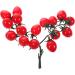 Warmhm 4pcs String Simulated Cherry Tomatoes Artificial Vegetables Artificial Vegetable Model Mini Model Fruit Faux Cherry Tomatoes Artificial Fruit Decor Child Fake Fruit Pvc Fake Food - Buy Online on GoSupps.com
