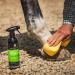 Carr Day and Martin StainMaster Green Spot Remover Spray 500ml - Effective Pet Stain Solution for International Shipping - Buy Online on GoSupps.com