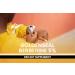 Buy PURE ORIGINAL INGREDIENTS Goldenseal Berberine - 730 Capsules No Fillers Lab Verified Pure Supplements - International Shipping Available - Buy Online on GoSupps.com