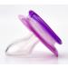 Buy dBb Remond Purple Pacifier and Clip - 1 Piece for International Shipping | Safe & Stylish Baby Comfort - Buy Online on GoSupps.com