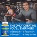Creatine Monohydrate Gummies - Vegan Lemon Chews for Muscle Growth & Recovery - 60 Servings (5g Creatine per 5 Gummies - Buy Online on GoSupps.com