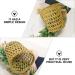 Garneck 3pcs Cup Sleeve Straw Woven Holders - Tumbler Insulator Sleeves for Hot & Cold Drinks - Buy Online on GoSupps.com