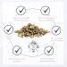 Buy Organic Pai Mu Tan White Tea - High-Quality Aromatic Tea from China 200g Pack of 2 - International Shipping Available - Buy Online on GoSupps.com