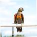 PopetPop 3 Pack Flying Bird Diapers - Parrot Accessories for Nymphatic & King Cotton | International Shipping - Buy Online on GoSupps.com