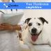 COODEO Dog Harness - Adjustable Lifting Belt for Pets | Support & Rehabilitation for Old & Disabled Dogs - Padded Breathable Straps - XS Blue - Buy Online on GoSupps.com