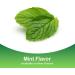 Member's Mark 2mg Nicotine Lozenges Stop Smoking Mint Flavor (27 ct 8pk) - Buy Online on GoSupps.com
