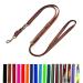 Dog leash adjustable 2m / 2.80m / 3.50m / 5m large dogs 20mm / 25mm (Hawaii (brown curry turkey) 20mm 3.50m) Hawaii (brown curry-t rkis) 20mm 3.50m