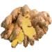 Tooba Ginger Paste/330 gram/Great Flavour/Authentic Taste - Buy Online on GoSupps.com